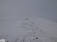 2018-01-13 M. Orsello 217